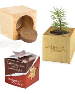 Pflanz-Holz Star-Box - Samen nach Wahl - inkl. Werbedruck