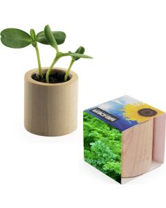 Pflanz-Holz rund - Samen nach Wahl - inkl. Werbedruck