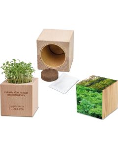 Pflanz-Holz Grande - Samen nach Wahl - inkl. Werbedruck