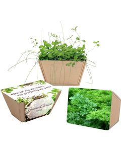 Mini-Beet - Samen nach Wahl - inkl. Werbedruck