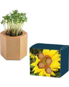 Pflanz-Holz Hexagon - Samen nach Wahl - inkl. Werbedruck