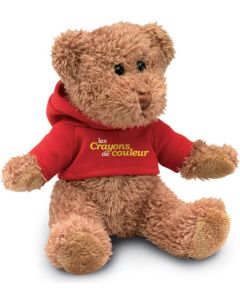 Teddybär mit Hoody 