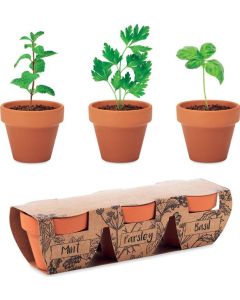 Terracotta-Set Kräuter