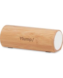 Wireless Lautsprecher 2 x 5W