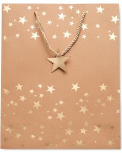 Geschenkpapiertüte Sparkle