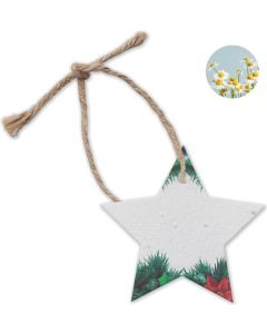 Weihnachtsschmuck Samenpapier Starseed