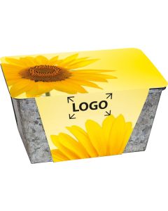 Wachstums-Kästchen - Samen nach Wahl - inkl. 4c Logo-Digitaldruck