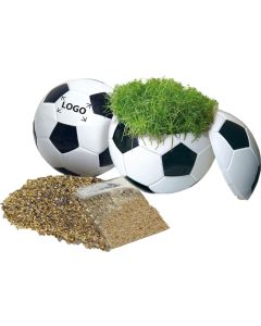 Rasender Fußball Zimmerrasen