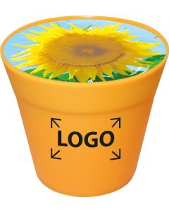 Business-Töpfchen - Samen nach Wahl