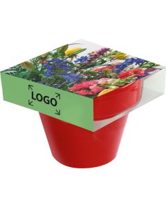 Tontopf Colour - Samen nach Wahl - inkl. 4c Logo-Digitaldruck