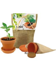 Pflanze Deinen Baum Natur-Säckchen, Robinie - inkl. 1-4 c Logo-Digitaldruck