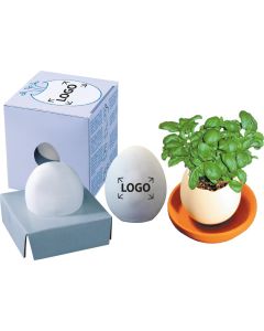 Wachsendes Tamago - Samen nach Wahl - inkl. 1-4 c Logo-Digitaldruck