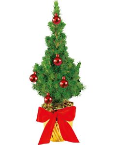 Festliches Bäumchen 20-30 cm