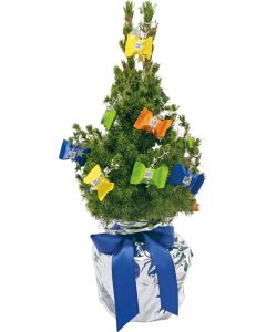 Süßes Schoko-Bäumchen 35-45 cm