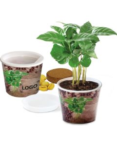 Coffee 2Grow - Kaffeebaum, Kresse - inkl. 1-4 c Logo-Digitaldruck
