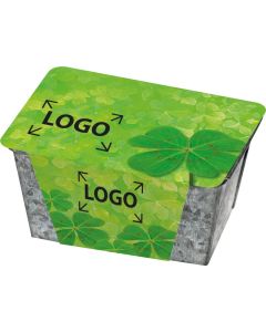 Glücks-Kästchen mit Glückskleezwiebelchen - inkl. 1-4 c Logo-Digitaldruck