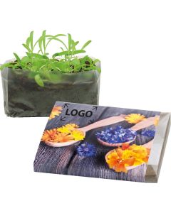 Wachstum im Quadrat Blütengenuss - inkl. 1-4 c Logo-Digitaldruck