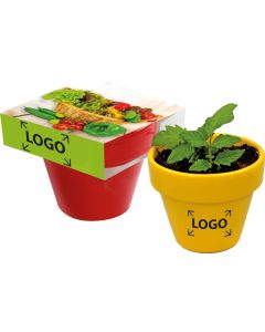 Naschgemüse Colour - Samen nach Wahl- inkl. 1-4 c Logo-Digitaldruck