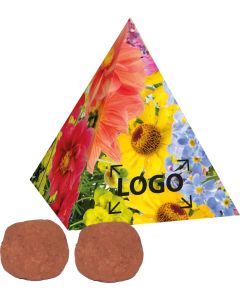 Pyramide Spitzenwachstum - bunte Blumenmischung - inkl. 1-4 c Logo-Digitaldruck