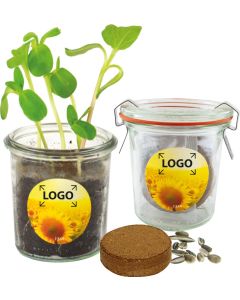 Gläschen Sonne - Zwergsonnenblume - inkl. 1-4 c Logo-Digitaldruck