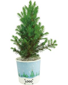 Cup-Bäumchen 20-30 cm - inkl. 1-4 c Logo-Digitaldruck