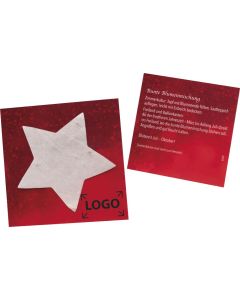 Samenpapier-Kärtchen Stern - inkl. Digitaldruck