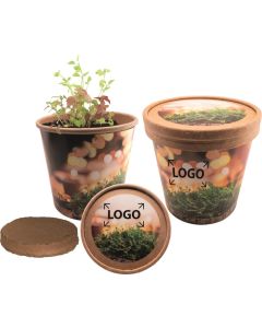 Weihnachtliche Kräutergrüße - inkl. Digitaldruck