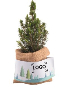 Weihnachtsgruß-Bäumchen - inkl. Digitaldruck