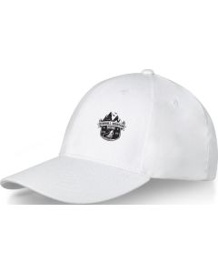 Davis Panel Kappe mit 6 Segmenten