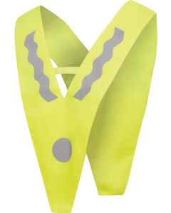 Kinder-Sicherheitsdreieck Victory