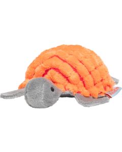 Katzenspielzeug Schildkröte