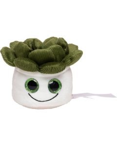 Schmoozies Evergreenies Sukkulente