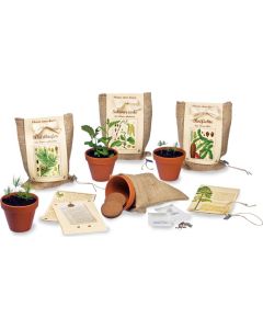 Pflanze einen Baum! - Baumsamenset - inkl. Werbedruck