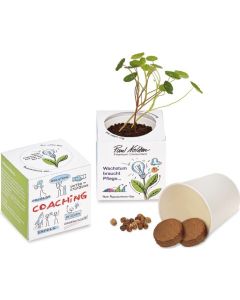 Wachstumswürfel - Pflanzset - inkl. Werbedruck