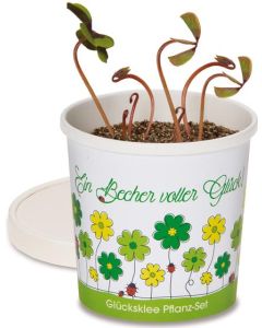 Glücksklee im Becher Pflanzset - inkl. Werbedruck