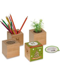 Woody Tannenbaum Pflanzset - inkl. Werbedruck