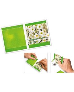 Samentüten Veggie Coupon M - inkl. Werbedruck