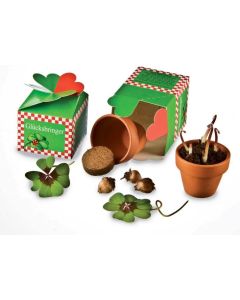 Glück aus der Schachtel - Pflanzset - inkl. Werbedruck