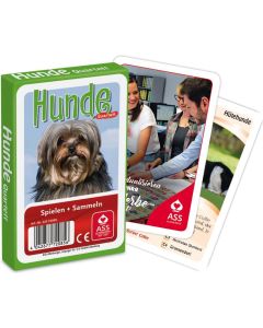 Kartenspiel Quartett Sonderquartett, 33 Blatt, in Faltschachtel - inkl. Druck