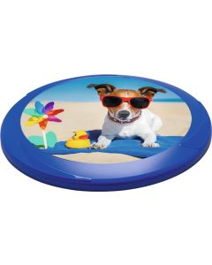 Speed-Flyer Ocean 220 cm - inkl. In-Mould-Label-Druck