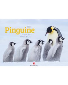 Kalender Pinguine 2025