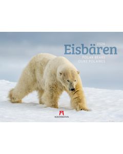 Kalender Eisbären 2025