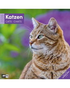 Kalender Katzen 2025 - 30x30