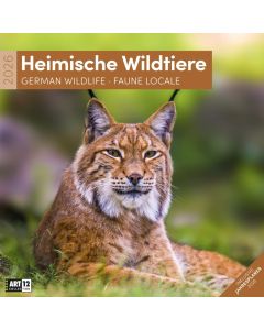 Kalender Heimische Wildtiere 2025 - 30x30