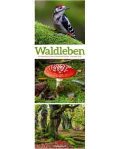 Kalender Waldleben 2025