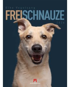 Kalender Frei Schnauze 2025