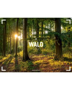 Kalender Wald - Gallery 2025