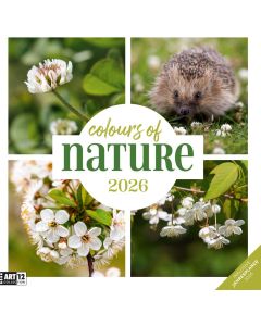 Kalender Colours of Nature 2025 - 30x30