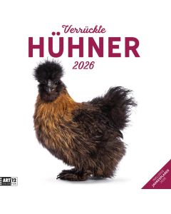 Kalender Verrückte Hühner 2026 - 30x30
