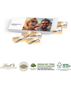 Präsentbox mit Lindt Schokotäfelchen, Express